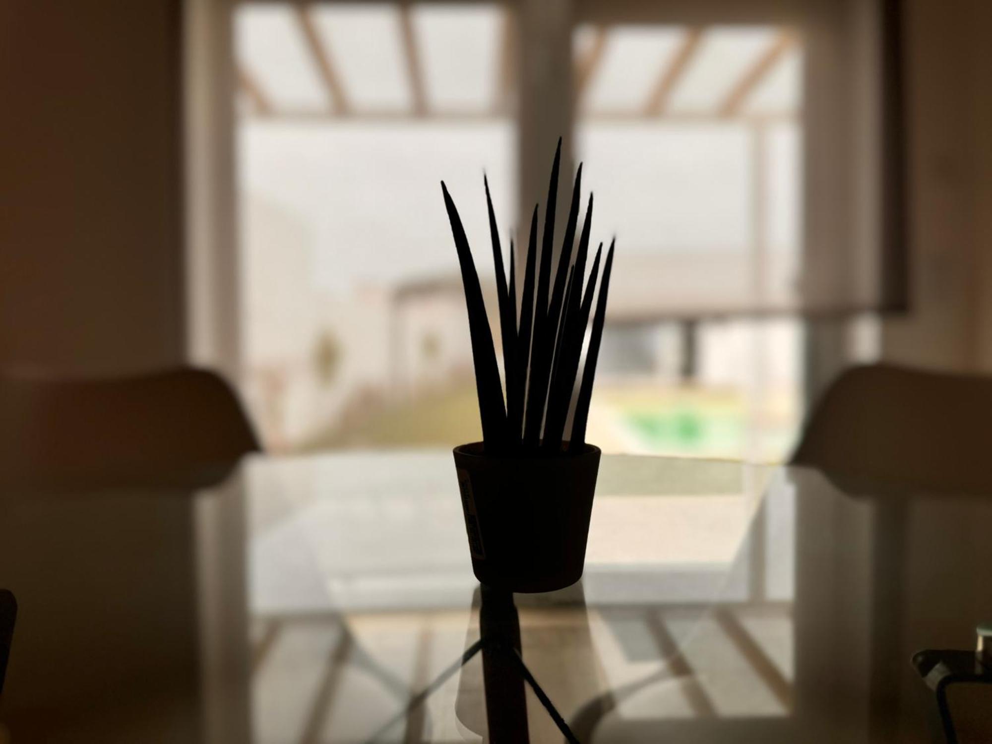D'Felicidade Caldas Da Rainha Habitación foto